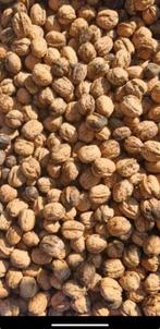 Verse biologische walnoten van det jaar, Ophalen of Verzenden, Zo goed als nieuw, Hout, Minder dan 3 meter