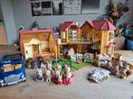 Sylvanian Familie Set - Huizen, Auto & Families!, Ophalen of Verzenden, Gebruikt, Poppenhuis