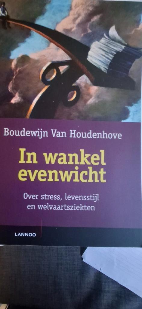 Boek in wankel evenwicht auteur Boudewijn v Houdenhoeve, Boeken, Partijen en Verzamelingen, Zo goed als nieuw, Overige, Ophalen of Verzenden