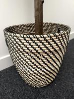Kunstplant in rieten mand decoratief, Ophalen, Gebruikt, Mand, Rond
