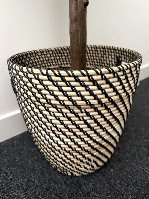 Kunstplant in rieten mand decoratief, Huis en Inrichting, Woonaccessoires | Schalen en Manden, Gebruikt, Mand, Rond, Riet, Ophalen