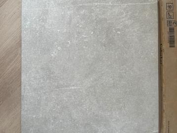 Badkamer/toilet tegels Colorker kainos Bone (1.06m2) beschikbaar voor biedingen