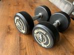 Gorilla Dumbell set 20 kg 2 x 10, Ophalen, Gebruikt, Dumbbell