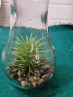 decoratie peer lamp met stenen en plant, Huis en Inrichting, Ophalen of Verzenden, 'T Olde Gre-j, Info@toldegrej.nl, Endepoelstraat 20f Didam