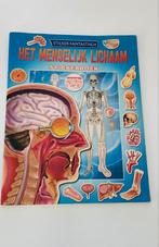 L. Leask - Menselijk lichaam stickerboek, Boeken, Kinderboeken | Jeugd | onder 10 jaar, Non-fictie, L. Leask, Ophalen of Verzenden