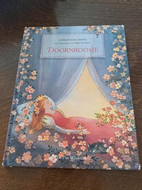 Gebroeders Grimm - Doornroosje, Boeken, Kinderboeken | Jeugd | onder 10 jaar, Zo goed als nieuw, Sprookjes, Ophalen of Verzenden