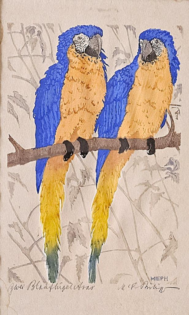 Martin Erich Philipp (1887-1978), Antiek en Kunst, Kunst | Etsen en Gravures, Ophalen of Verzenden