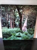 Moderne kunst fotografie gesigneerd, Antiek en Kunst, Kunst | Schilderijen | Abstract, Ophalen