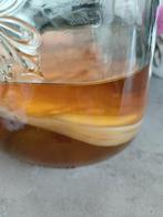 Kombucha, Ophalen