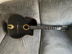 Gypsy gitaar, Ophalen of Verzenden, Gebruikt, Overige typen