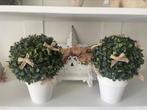 2 buxus met jute strikjes, Huis en Inrichting, Ophalen of Verzenden, Zo goed als nieuw