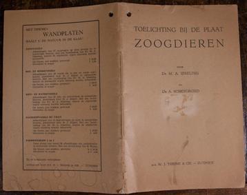 schoolplaat – Nederlandse zoogdieren beschikbaar voor biedingen