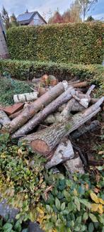 Haardhout per kuub €70, Tuin en Terras, Haardhout, Minder dan 3 m³, Ophalen, Blokken