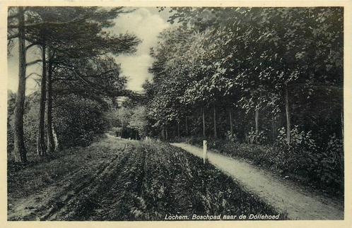 (701-075-039) Lochem Boschpad naar de Dollehoed, Verzamelen, Ansichtkaarten | Nederland, Gelderland, Verzenden