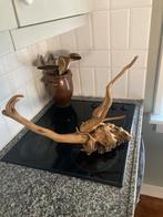 Drijfhout Decoratie - Uniek Strandvondst, Ophalen of Verzenden, Gebruikt
