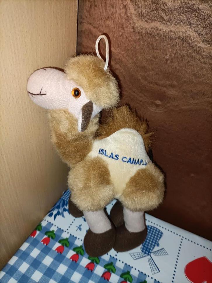 Dromedaris knuffel Souvenir Islas Canarias, Kinderen en Baby's, Speelgoed | Knuffels en Pluche, Zo goed als nieuw, Ophalen of Verzenden