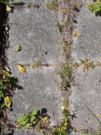 Gratis 25 stoeptegels grijs, Tuin en Terras, Ophalen, Gebruikt, Overige typen, 10 m² of meer