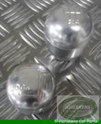 2 aluminium pookknoppen LT77 bak - Defender Discovery 1 en C, Auto-onderdelen, Ophalen of Verzenden, Nieuw, Land Rover