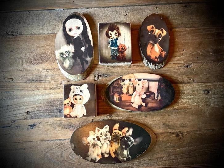 Schilderij Teddybeer Schijven beer hond dier hout foto's top, Antiek en Kunst, Curiosa en Brocante, Verzenden