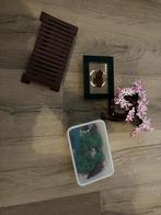 Lego botanical bonsai, Ophalen, Zo goed als nieuw