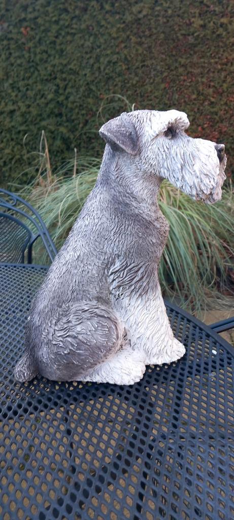 Schnauzer Beeld - Peper en Zout Kleur - 17cm, Tuin en Terras, Tuinbeelden, Nieuw, Dierenbeeld, Kunststof, Ophalen of Verzenden
