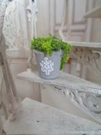   Brocant potje met mosplantje...Poppenhuis 1:12..(nr F92 )*, Ophalen of Verzenden, Nieuw, Poppenhuis