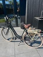 Cortina Roots fiets, Versnellingen, Ophalen, Overige merken, 53 tot 56 cm