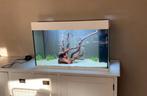 Juwel Rio 180 Led aquarium, Dieren en Toebehoren, Ophalen, Gebruikt, Leeg aquarium