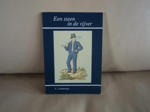 Lambregts, L. - Een steen in de vijver., Boeken, Literatuur, Zo goed als nieuw, Nederland, Ophalen of Verzenden
