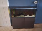 Eheim aquarium, Dieren en Toebehoren, Ophalen, Gebruikt, Filter of Co2