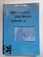 Mathematics that works, volume 2 & 3, Ophalen of Verzenden, Gelezen, WO, Maarten de Gee