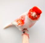 Rood mozaiek kanaries, Dieren en Toebehoren, Vogels | Kanaries, Meerdere dieren, Kleurkanarie