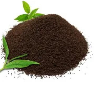 Nilgiri Tea Poeder beschikbaar voor biedingen