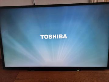 Toshiba 43 inch  beschikbaar voor biedingen