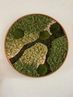 Moswanden moscreaties moscirkel mosdesign mosschilderij, Huis en Inrichting, Woonaccessoires | Wanddecoraties, Ophalen, Nieuw