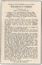 Wilhelmus Sterks 1885 Sint Michielsgestel + 1962 Den Bosch, Verzamelen, Verzenden