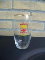Leeuw bier, Verzamelen, Biermerken, Ophalen of Verzenden, Zo goed als nieuw, Glas of Glazen, Leeuw