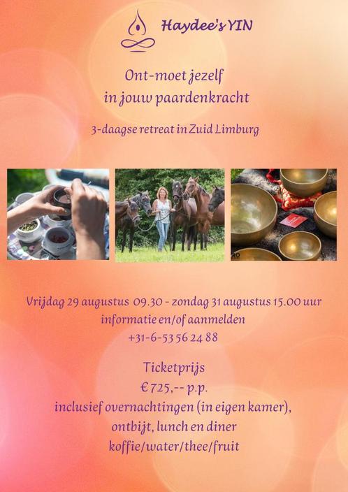 3-daagse paarden retreat in Zuid-Limburg, Hobby en Vrije tijd, Overige Hobby en Vrije tijd, Nieuw, Ophalen
