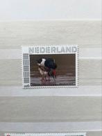 Persoonlijke postzegel thema vogels natuur dieren, Ophalen of Verzenden, Postfris