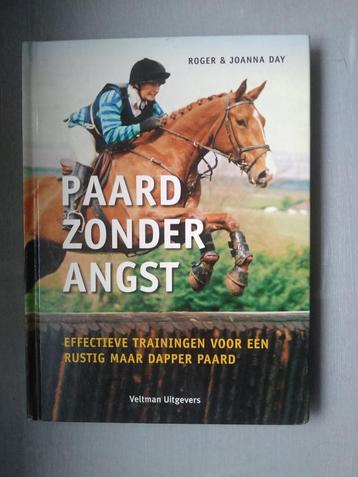 Paard zonder angst beschikbaar voor biedingen