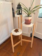 Plantenstandaard satsumas, Huis en Inrichting, Ophalen, Minder dan 55 cm, Gebruikt, Rond