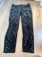 Cambio parla zip 36 leopard luipaard fluweel velvet, Cambio, Zwart, Ophalen of Verzenden, Zo goed als nieuw