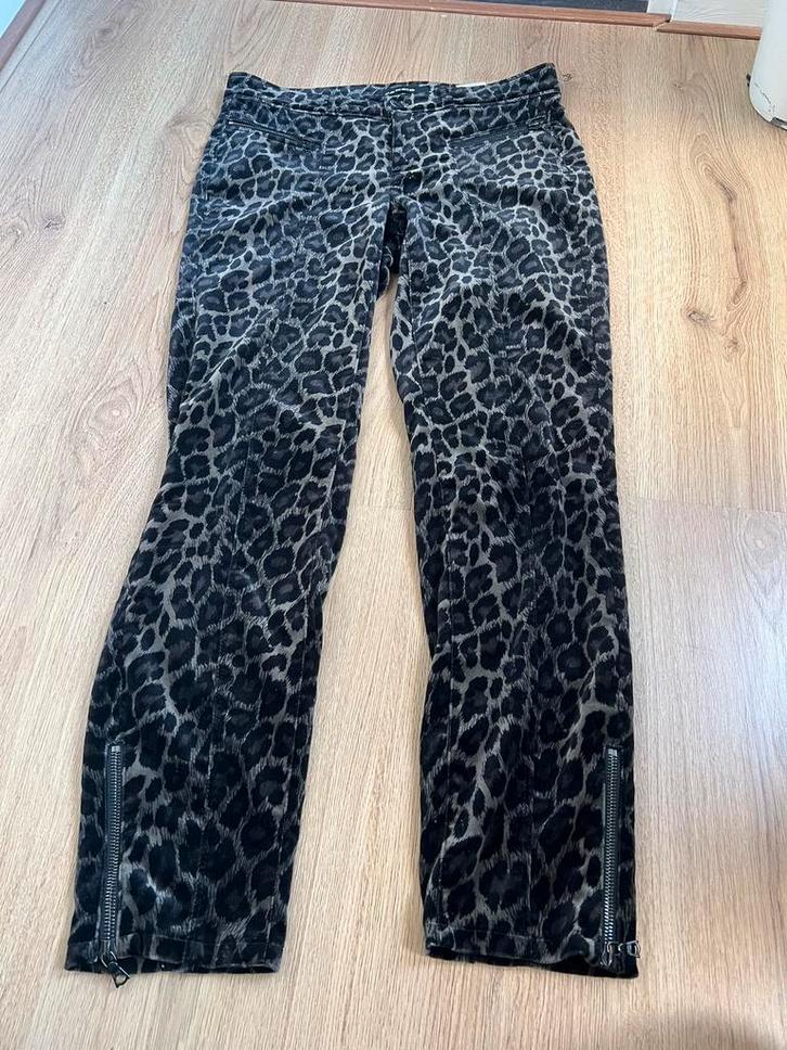 Cambio parla zip 36 leopard luipaard fluweel velvet, Kleding | Dames, Broeken en Pantalons, Zo goed als nieuw, Maat 36 (S), Zwart