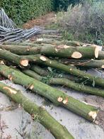Kachelhout! In 1 partij te koop €230, Minder dan 3 m³, Ophalen, Overige houtsoorten, Stammen