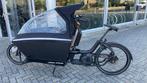 Urban Arrow l Bosch Cargo Line l 1000wh l Belt drive