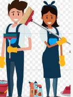 Schoonmaakster of schoonmaker, Overige niveaus, Overige vormen