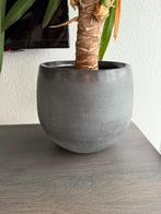 Mica decorations pot grijs D20 cm, Ophalen, Minder dan 30 cm, Minder dan 60 cm, Zo goed als nieuw