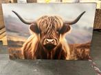 Canvas schilderij 120x80 cm Schotse Hooglander, Ophalen, Nieuw, Schilderij, 100 tot 125 cm