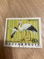 Maygar posta witte ooievaar, Ophalen of Verzenden