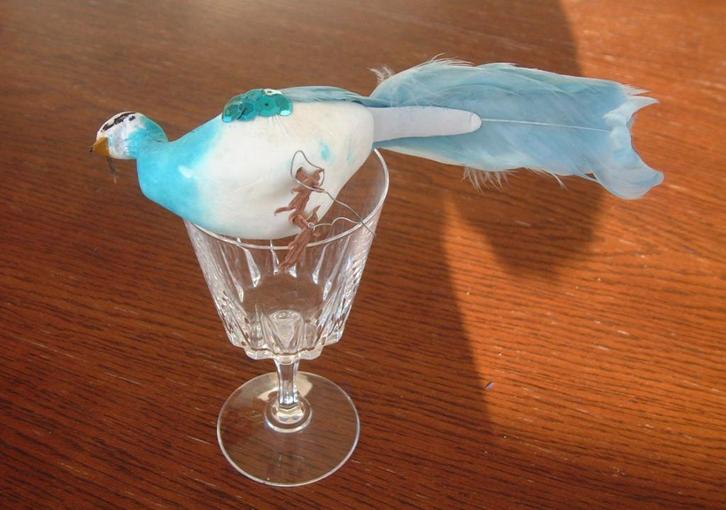 12 vintage blauwe pauwen vogels, Diversen, Kerst, Ophalen of Verzenden